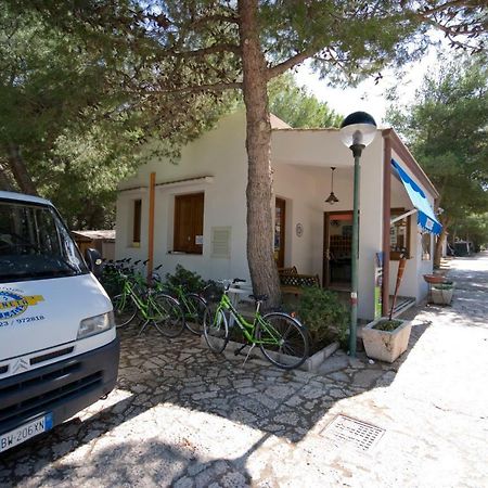Camping Village La Pineta 산비토로카포 외부 사진
